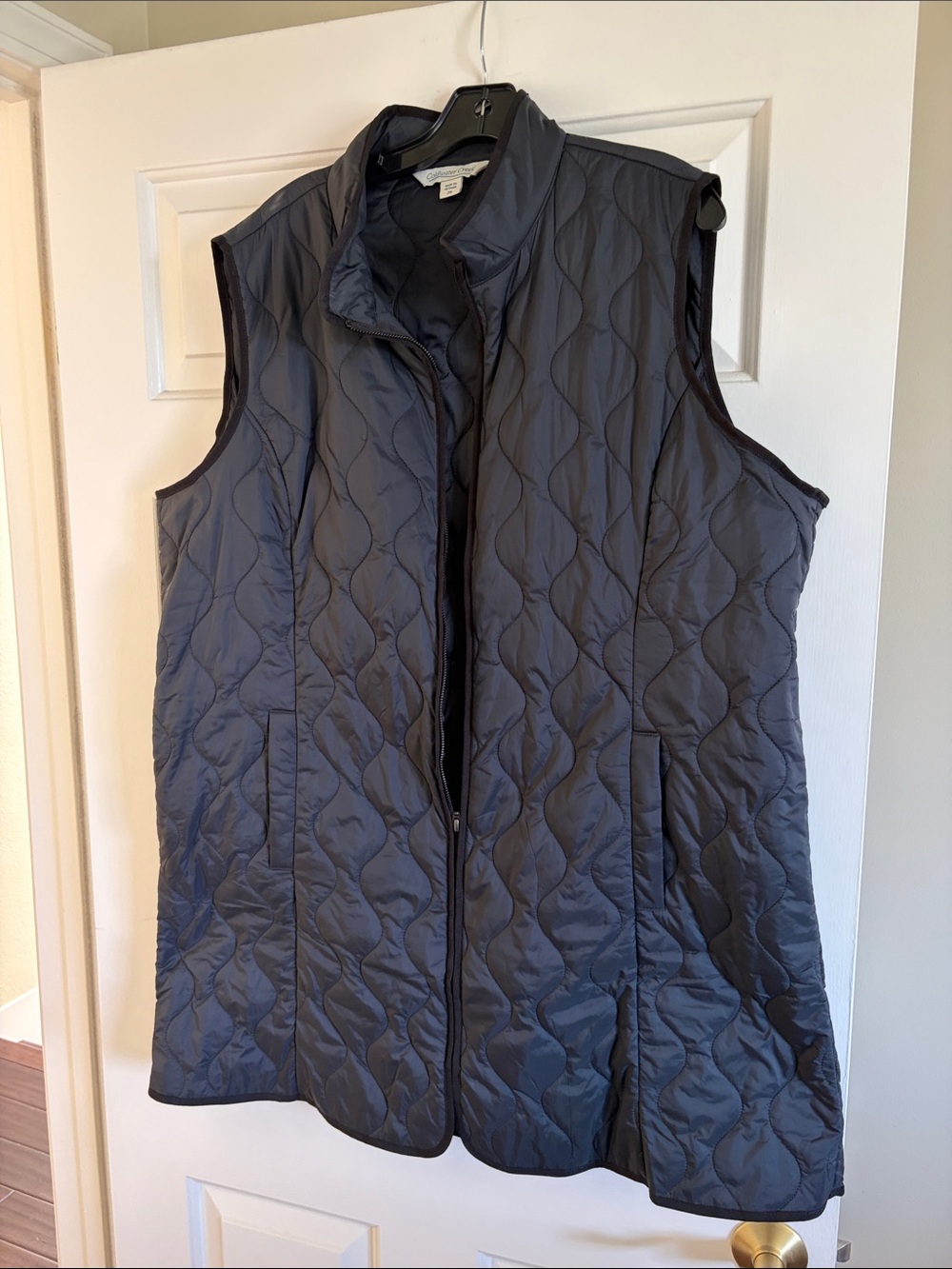 Coldwater Creek long vest!